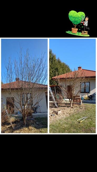 Zaopiekuje się twoim ogrodem :)