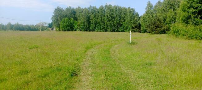 Sprzedam działki 3000,2000 4000 M2 Korabiewice