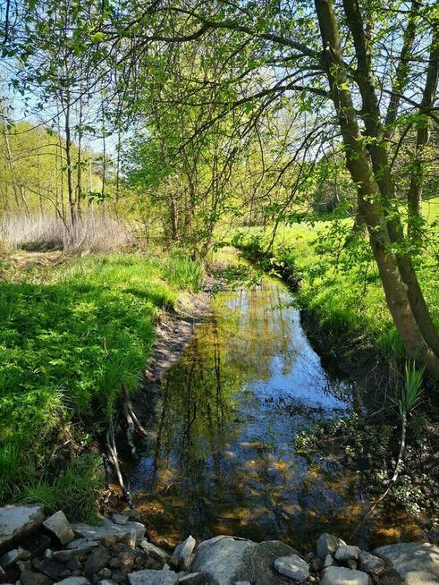 Działka nad jeziorem Żalkim Dużym