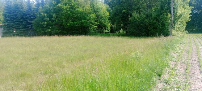 Sprzedam działki 3000,2000 4000 M2 Korabiewice