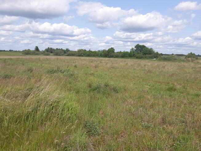 Sprzedam działkę 1227 m² Kęsowo