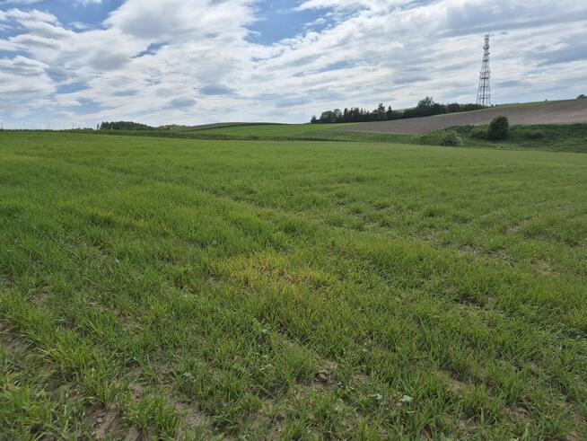 Sprzedam ziemię rolną pod siedlisko lub zabudowę