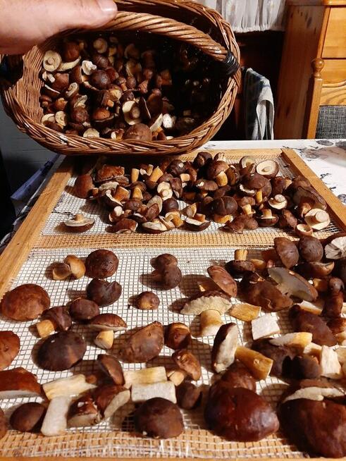 Extra lokalizacja - przyczepa z przybudówką