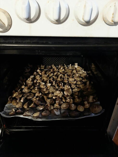 Extra lokalizacja - przyczepa z przybudówką