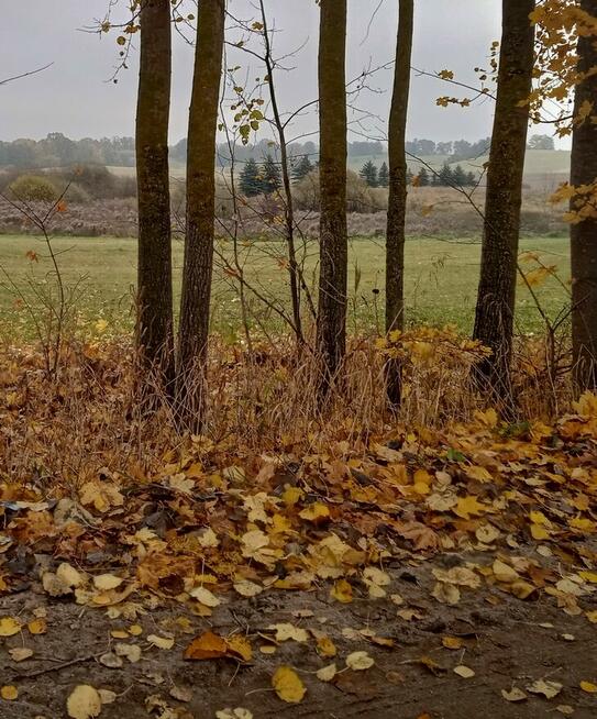 Działka z dostępem do jeziora, budowlana, 3000 m2