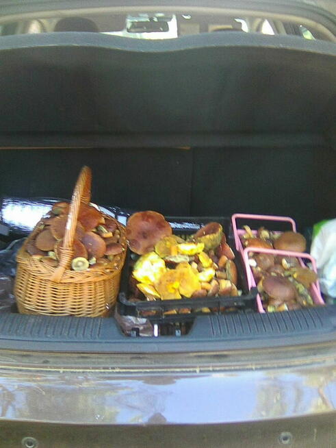 Extra lokalizacja - przyczepa z przybudówką