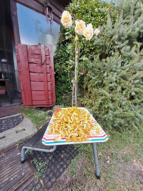 Extra lokalizacja - przyczepa z przybudówką