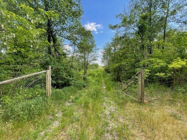 Siedlisko 4,3 ha 30 km od Warszawy 0% prowizji