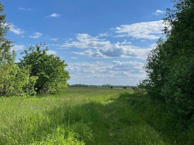 Siedlisko 4,3 ha 30 km od Warszawy 0% prowizji