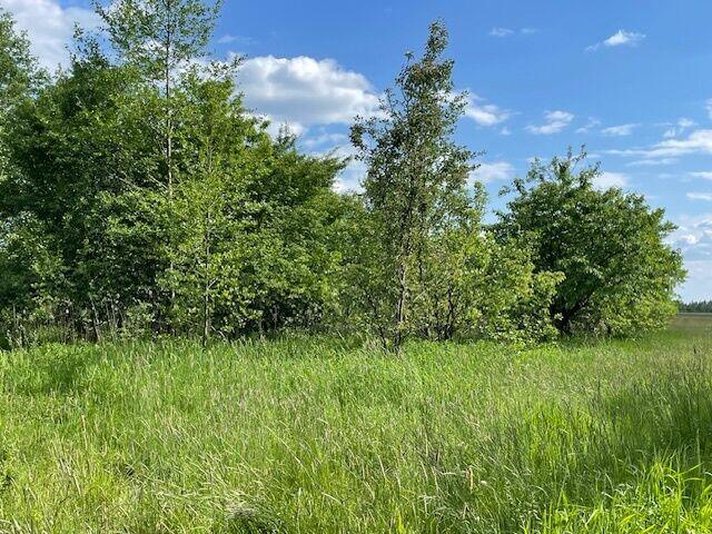 Siedlisko 4,3 ha 30 km od Warszawy 0% prowizji