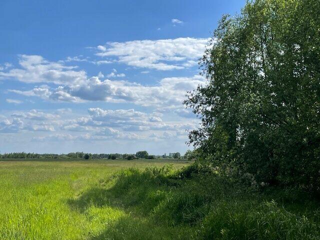 Siedlisko 4,3 ha 30 km od Warszawy 0% prowizji