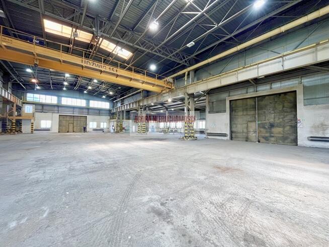 MAGAZYN RYBITWY od 1000 do 3000 m2 duży plac TIR