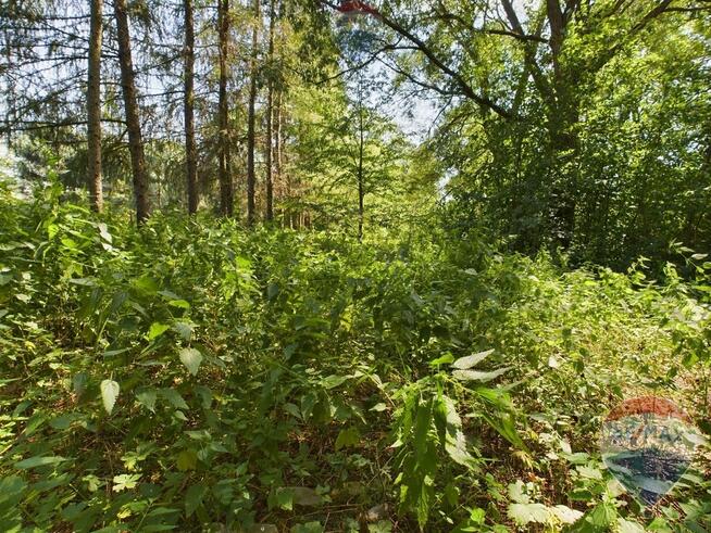 Ostatnie działki w Lenarcicach z dostępem do rzeki
