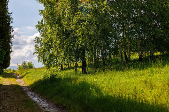 Działka w Lipowej z widokiem na góry