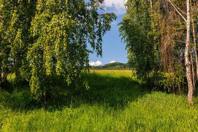 Działka w Lipowej z widokiem na góry