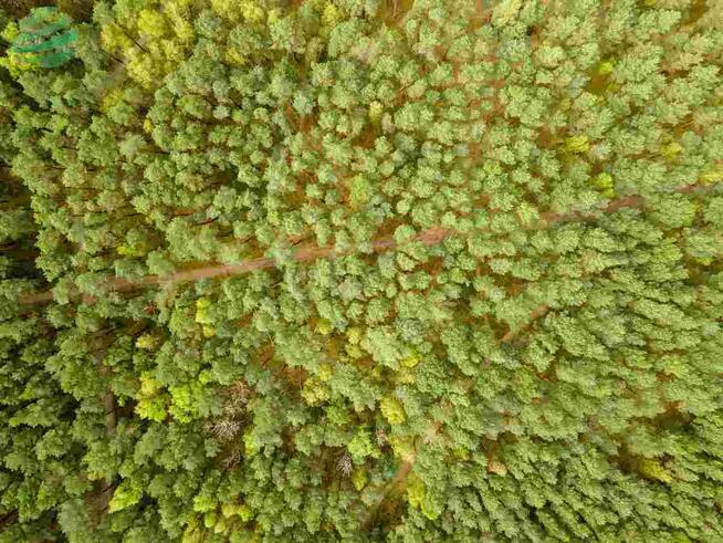 Działka budowlana Rusinowo gm. Postomino