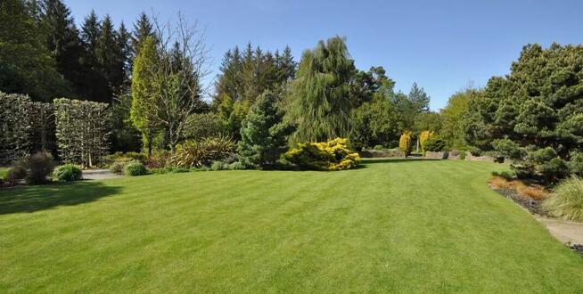 Koszenie trawy traktorkiem ogrodowym