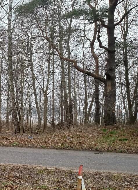 Działka z dostępem do jeziora, budowlana, 3000 m2