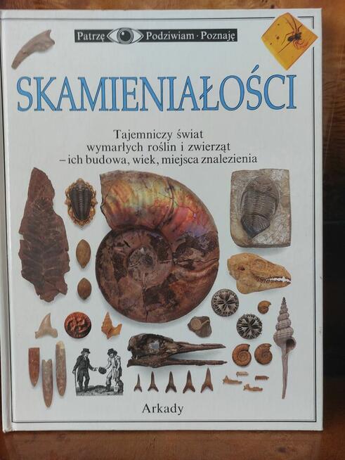 Fajne książki dla dzieci i młodzieży.