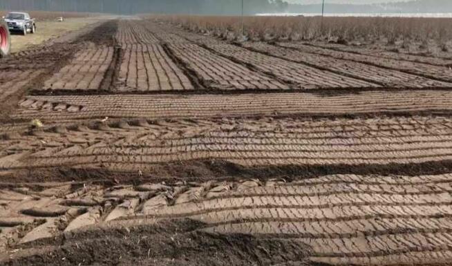 Karczowanie, mielenie, Mulczer leśny i wgłębny do 25cm