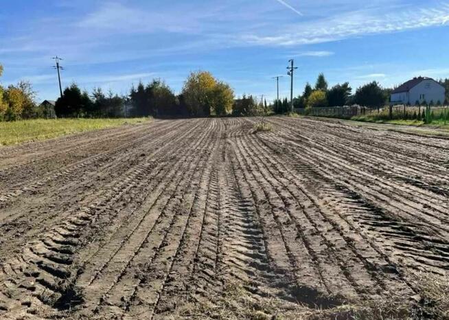 Karczowanie, mielenie, Mulczer leśny i wgłębny do 25cm
