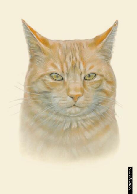 Portret ze zdjęcia NA ZAMÓWIENIE - Rysunek - Pastele - Obraz