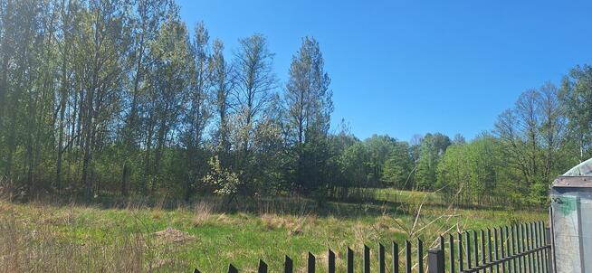 Sprzdam działkę 1000 metrów kozły