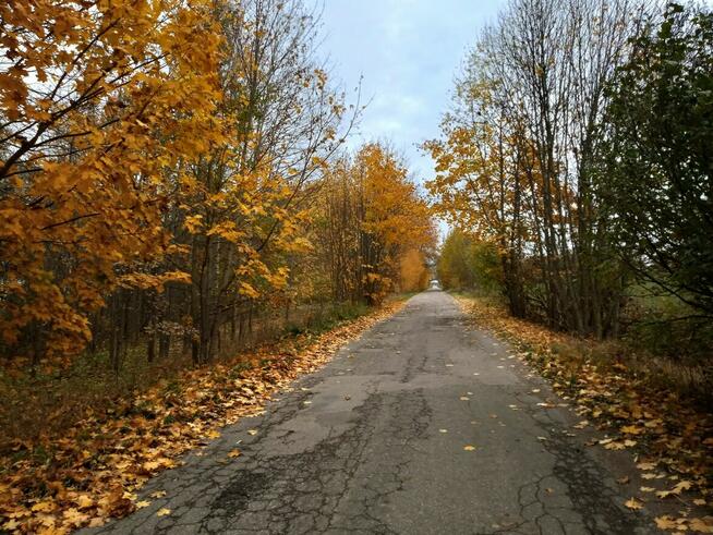 Działka z dostępem do jeziora, budowlana, 3000 m2