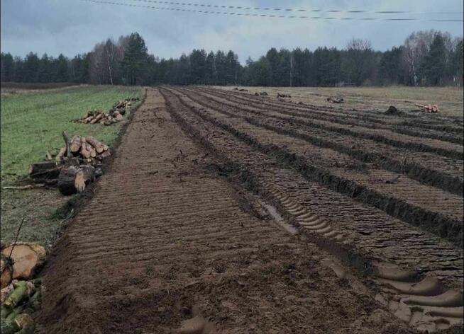 Karczowanie, mielenie, Mulczer leśny i wgłębny do 25cm