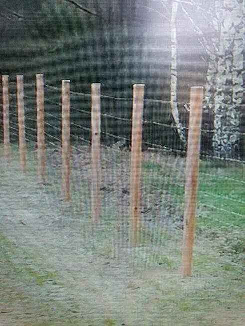 Siatka leśna 150/15/30 50mb