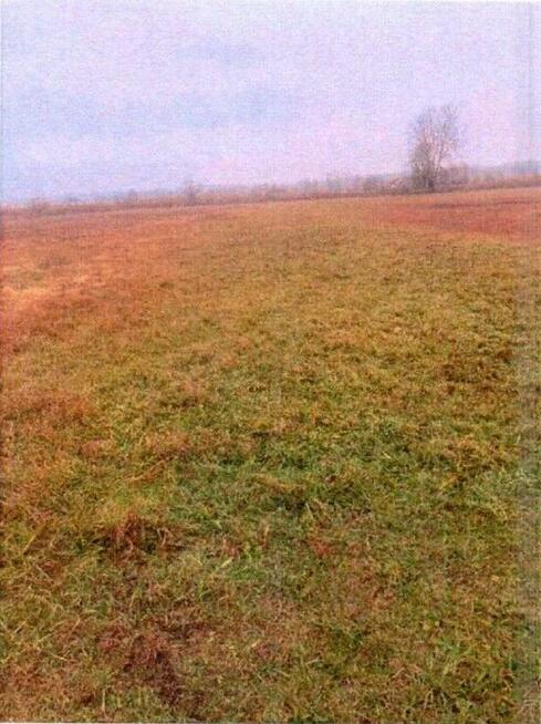 Nieruchomość niezabudowana - Sielec Biskupi