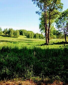 Działka z dostępem do jeziora, budowlana, 3000 m2
