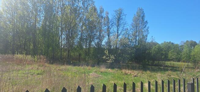 Sprzdam działkę 1000 metrów kozły