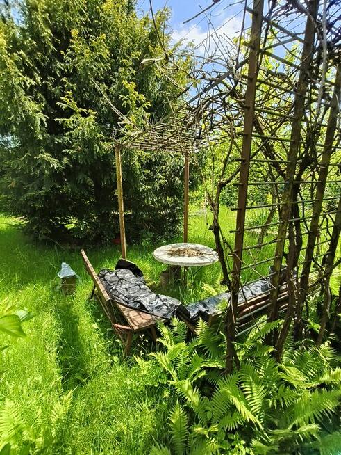 Ogród na ROD Żeromskiego - 1000 m2 - urokliwe i zaciszne