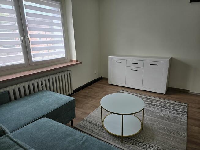 Mieszkanie do wynajęcia. I właściciel po generalnym remoncie