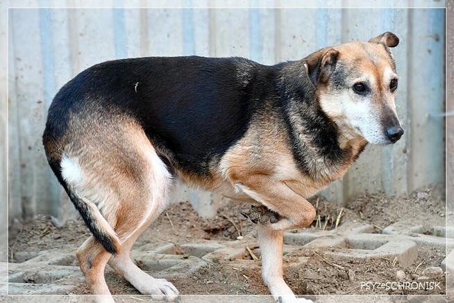 MAŃKA - wierzy, że ją pokochasz