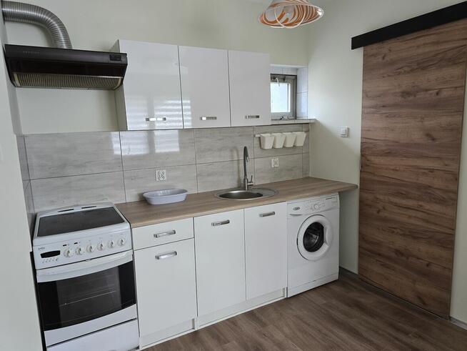 Mieszkanie do wynajęcia. I właściciel po generalnym remoncie