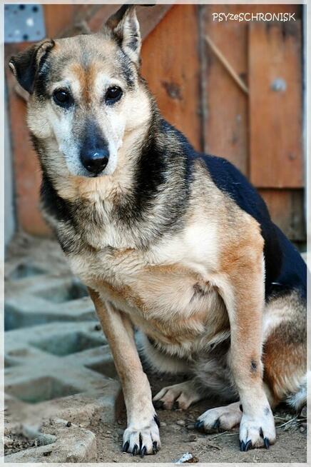 MAŃKA - wierzy, że ją pokochasz