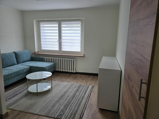 Mieszkanie do wynajęcia. I właściciel po generalnym remoncie