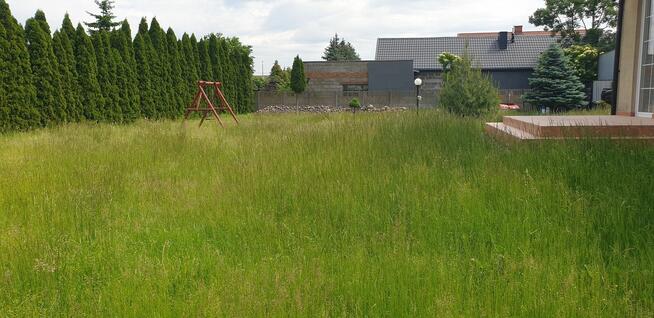 Ogrody Koszenie-Trawników-Wysokich-Traw