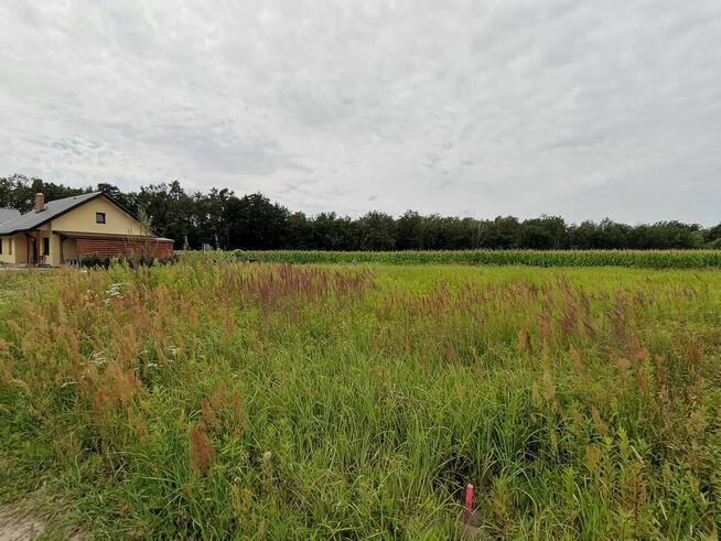 SPRZEDAM DZIAŁKĘ W CICHEJ OKOLICY BLISKO WROCŁAWIA