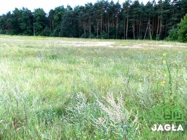 Działka rolna Bydgoszcz Zamczysko