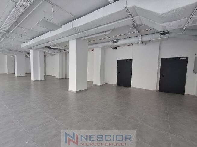 Wynajem Lokalu - pow: 300 m² / Centrum Siedlec