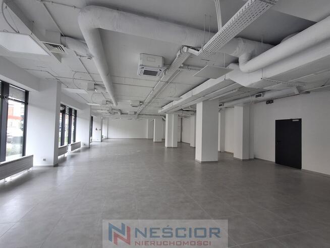 Wynajem Lokalu - pow: 300 m² / Centrum Siedlec