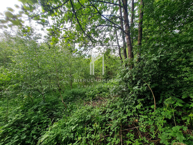 Działka rolna Opacionka gm. Brzostek