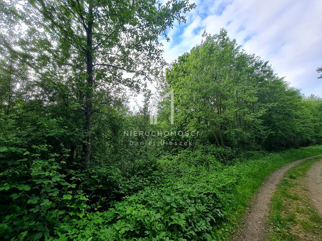 Działka rolna Opacionka gm. Brzostek