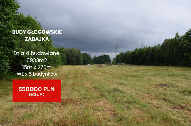 Działki budowlane 39a w Budach Głogowskich