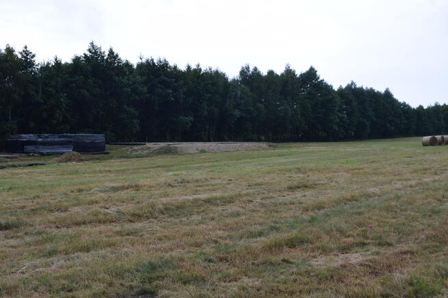 Działki budowlane 39a w Budach Głogowskich