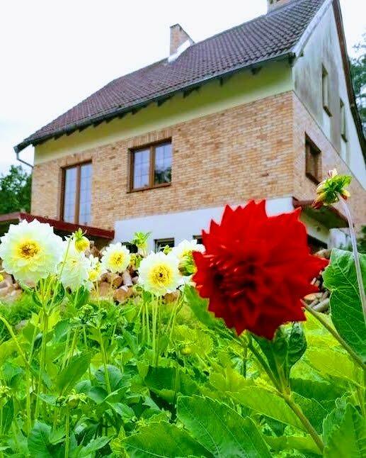 Dom Nieżyn gm. Siemyśl