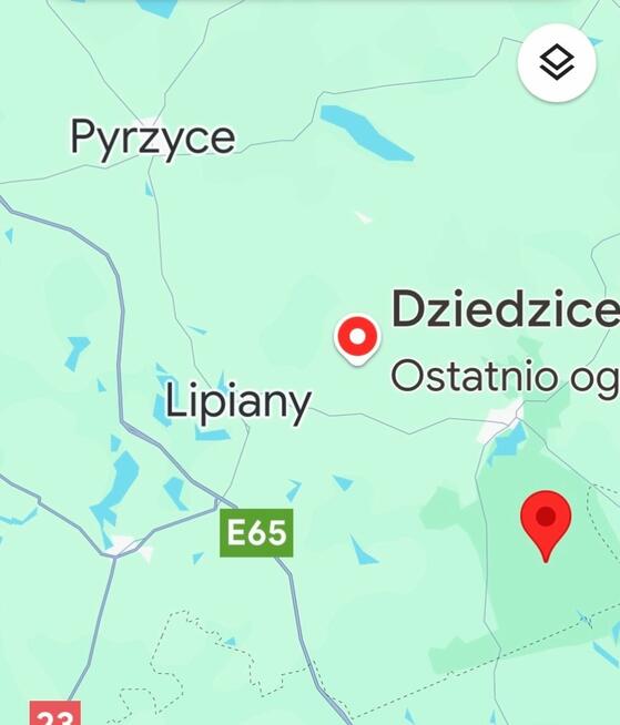 Dom Dziedzice gm. Barlinek